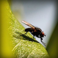/album/friskvardsforum/photolia-a04-jpg/