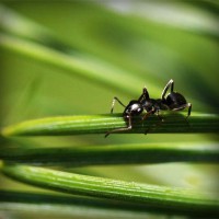 /album/friskvardsforum/photolia-a05-jpg/