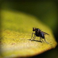 /album/friskvardsforum/photolia-a07-jpg/