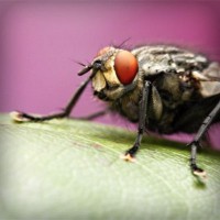 /album/friskvardsforum/photolia-a08-jpg/